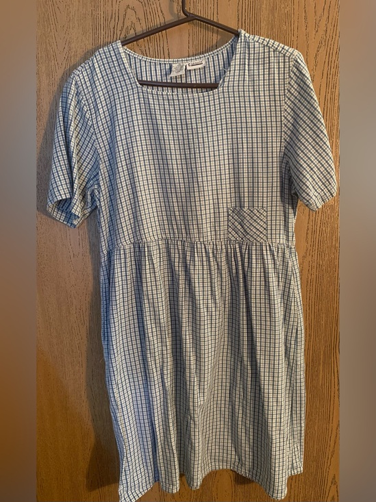 Capacity Dresses & Skirts - Vintage Capacity Dress, Blue and White Gingham with Side Pockets and Tied Back